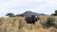 Namibia - Otjiwa Safari Lodge - Pirsch zu Fuss &ndash; &copy; Annett Müller (Eberhardt TRAVEL)