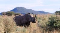 Namibia - Otjiwa Safari Lodge - Pirsch zu Fuss &ndash; &copy; Annett Müller (Eberhardt TRAVEL)