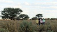 Namibia - Otjiwa Safari Lodge - Pirsch zu Fuss &ndash; &copy; Annett Müller (Eberhardt TRAVEL)