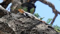 Namibia - Unterwegs entdeckt &ndash; &copy; Annett Müller (Eberhardt TRAVEL)