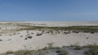 Etoshapfanne &ndash; &copy; Frank Nimschowski (Eberhardt TRAVEL)