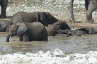 Etosha NP &ndash; &copy; Frank Nimschowski (Eberhardt TRAVEL)