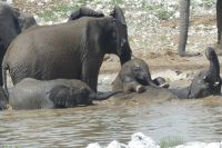 Etosha NP &ndash; &copy; Frank Nimschowski (Eberhardt TRAVEL)