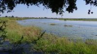der Okavango &ndash; &copy; Frank Nimschowski (Eberhardt TRAVEL)