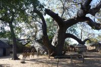 Cultural Village &ndash; &copy; Frank Nimschowski (Eberhardt TRAVEL)