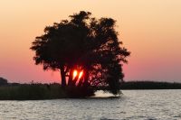 Bootstour auf dem Chobe mit Sonnenuntergang &ndash; &copy; Frank Nimschowski (Eberhardt TRAVEL)