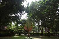 Botanischer Garten Dar-es-Salaam &ndash; &copy; Isabel Braksiek (Eberhardt TRAVEL)