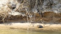 Namibia - Erlebnisse am Okavango - Kaptriel &ndash; &copy; Annett Müller (Eberhardt TRAVEL)