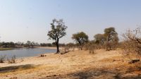 Namibia - Pirschfahrt im Bwabwata Nationalpark - Horseshoe &ndash; &copy; Annett Müller (Eberhardt TRAVEL)
