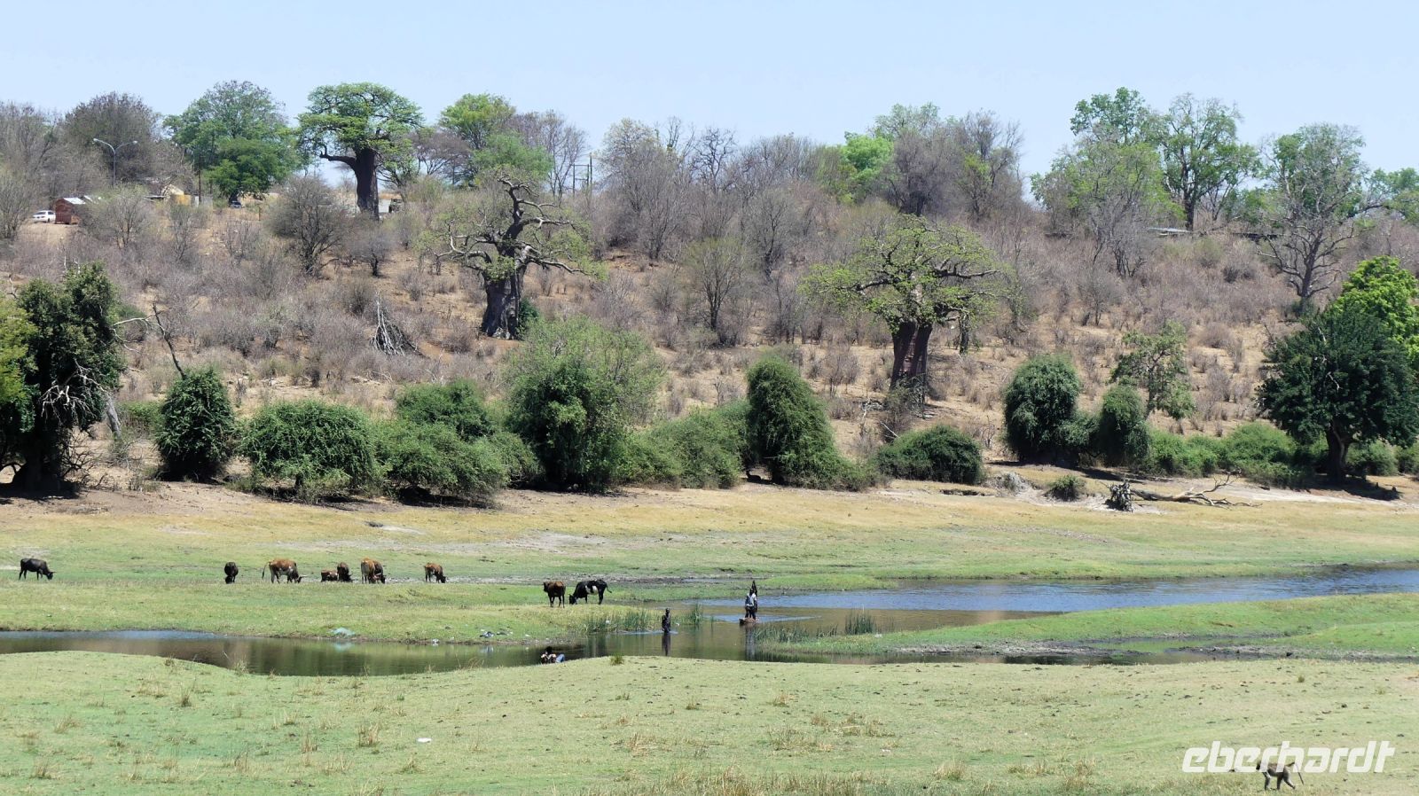 Botswana - Chobe Region &ndash; &copy; Annett Müller (Eberhardt TRAVEL)