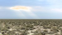 Namibia - Etosha Nationalpark &ndash; &copy; Annett Müller (Eberhardt TRAVEL)