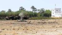 Namibia - Etosha Nationalpark - Elefanten am Camp Namutoni &ndash; &copy; Annett Müller (Eberhardt TRAVEL)