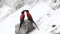 Namibia - Bootsfahrt auf dem Kwando &ndash; &copy; Annett Müller (Eberhardt TRAVEL)
