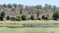 Botswana - Chobe Region &ndash; &copy; Annett Müller (Eberhardt TRAVEL)