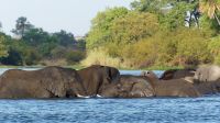 Simbabwe - Bootsfahrt auf dem Sambesi &ndash; &copy; Annett Müller (Eberhardt TRAVEL)
