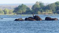 Simbabwe - Bootsfahrt auf dem Sambesi &ndash; &copy; Annett Müller (Eberhardt TRAVEL)