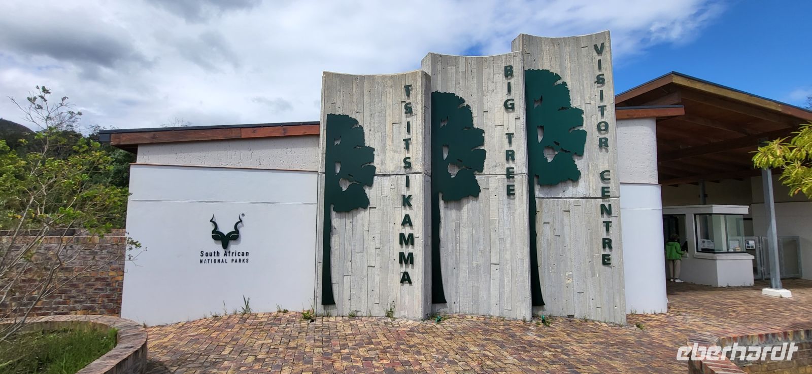 117 Besuch des Big Tree &ndash; &copy; Susanne Schirmann (Eberhardt TRAVEL)