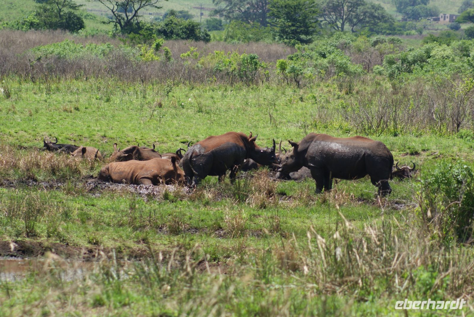 141Hluhluwe Nationalpark &ndash; &copy; Susanne Schirmann (Eberhardt TRAVEL)