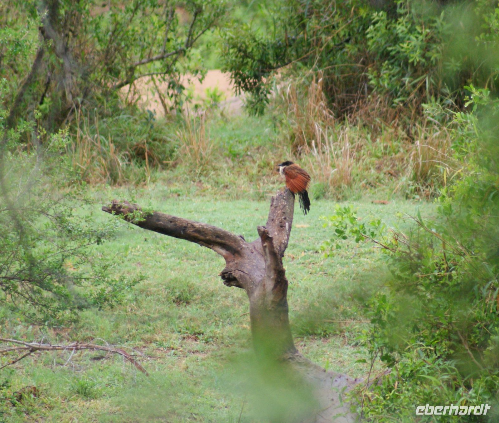238 Tiputip &ndash; &copy; Susanne Schirmann (Eberhardt TRAVEL)