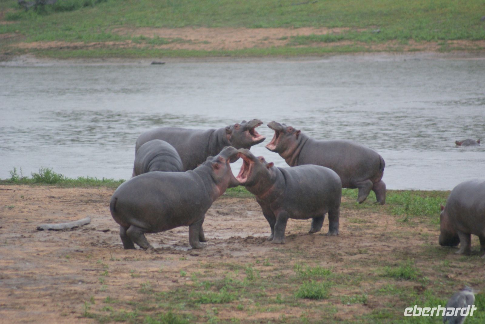 247 Hippokindergarten &ndash; &copy; Susanne Schirmann (Eberhardt TRAVEL)