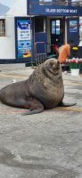21 gut im Futter &ndash; &copy; Susanne Schirmann (Eberhardt TRAVEL)