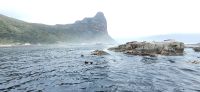 24 Bootstour zu den Pelzrobben &ndash; &copy; Susanne Schirmann (Eberhardt TRAVEL)