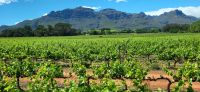 52  weiter entlang des Western Capes  &ndash; &copy; Susanne Schirmann (Eberhardt TRAVEL)