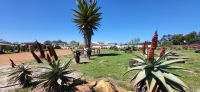 74 Besuch der Alcare Aloe Farm &ndash; &copy; Susanne Schirmann (Eberhardt TRAVEL)