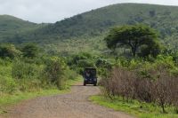 128 Safari im Hluhluwe Nationalpark &ndash; &copy; Susanne Schirmann (Eberhardt TRAVEL)