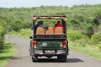 131 Safari im Hluhluwe Nationalpark &ndash; &copy; Susanne Schirmann (Eberhardt TRAVEL)