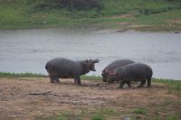 246 Hippokindergarten &ndash; &copy; Susanne Schirmann (Eberhardt TRAVEL)