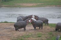 247 Hippokindergarten &ndash; &copy; Susanne Schirmann (Eberhardt TRAVEL)