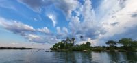277 Bootsfahrt auf dem Zambezi &ndash; &copy; Susanne Schirmann (Eberhardt TRAVEL)
