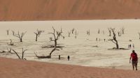 totes Vlei &ndash; &copy; Kathrin Mickan (Eberhardt TRAVEL)