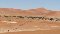 Rückweg vom Dead Vlei &ndash; &copy; Kathrin Mickan (Eberhardt TRAVEL)