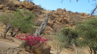 Wanderung Ai Aiba 1 &ndash; &copy; Kathrin Mickan (Eberhardt TRAVEL)