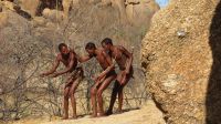so wird gejagt &ndash; &copy; Kathrin Mickan (Eberhardt TRAVEL)