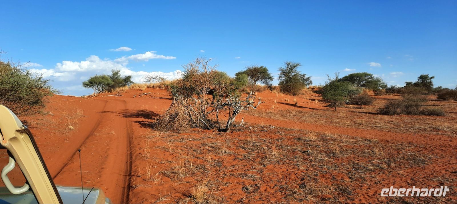 Namibia - Nature Drive in der Kalahari &ndash; &copy; Annett Müller (Eberhardt TRAVEL)