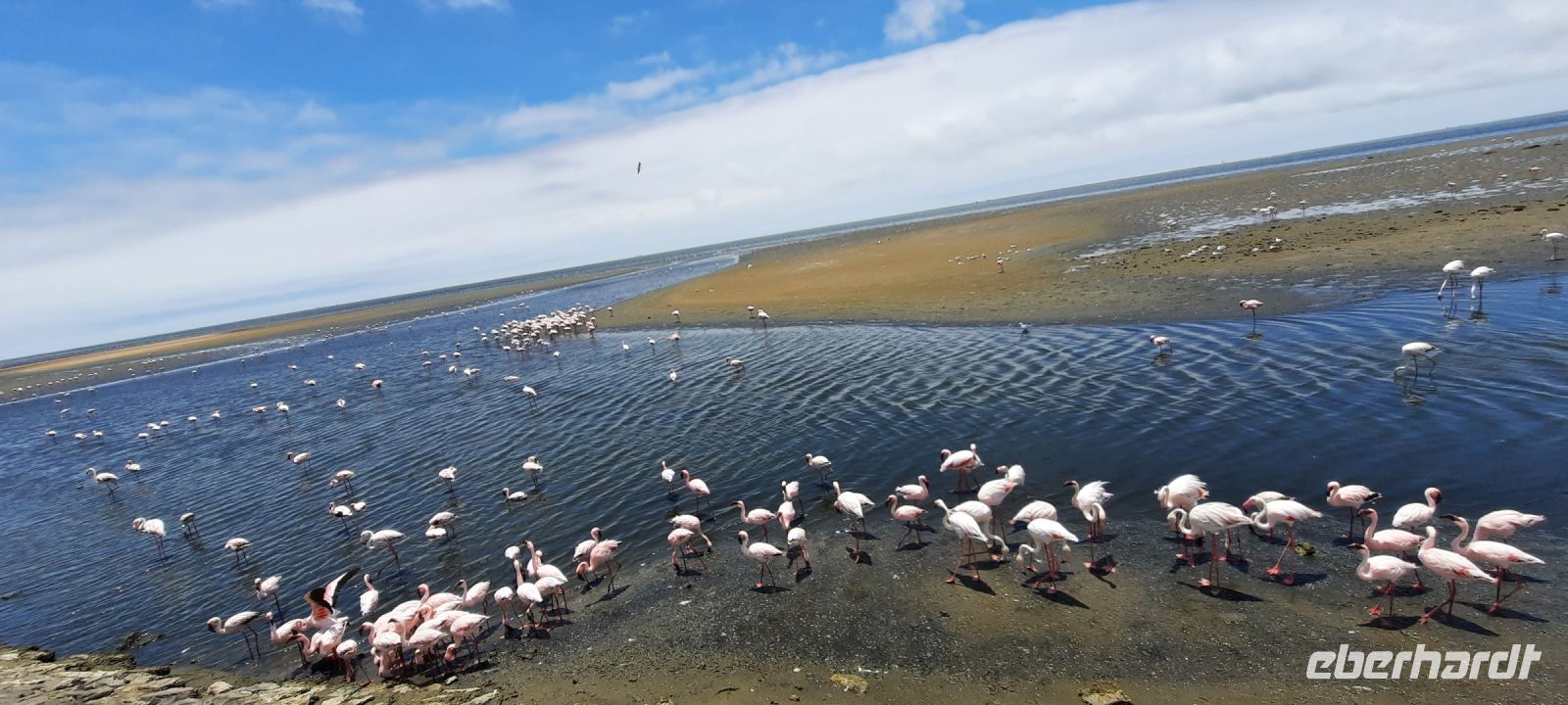 Namibia - Lagune von Walvis Bay - Flamingos &ndash; &copy; Annett Müller (Eberhardt TRAVEL)