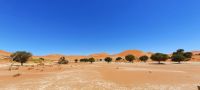 Namibia - Sossusvlei &ndash; &copy; Annett Müller (Eberhardt TRAVEL)