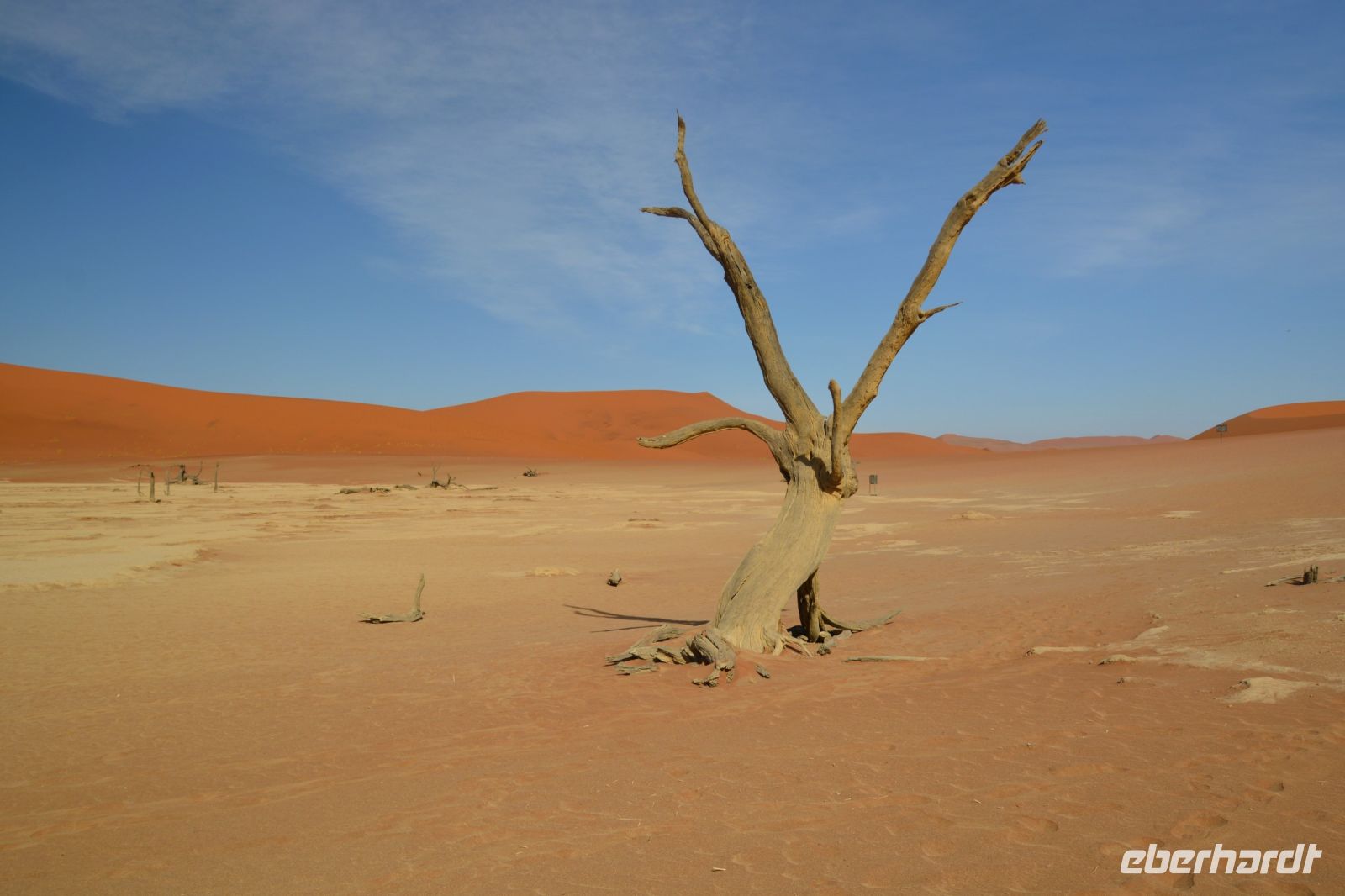 abgestorbener Baum im Dead Vlei &ndash; &copy; Gina Egenolf (Eberhardt TRAVEL)