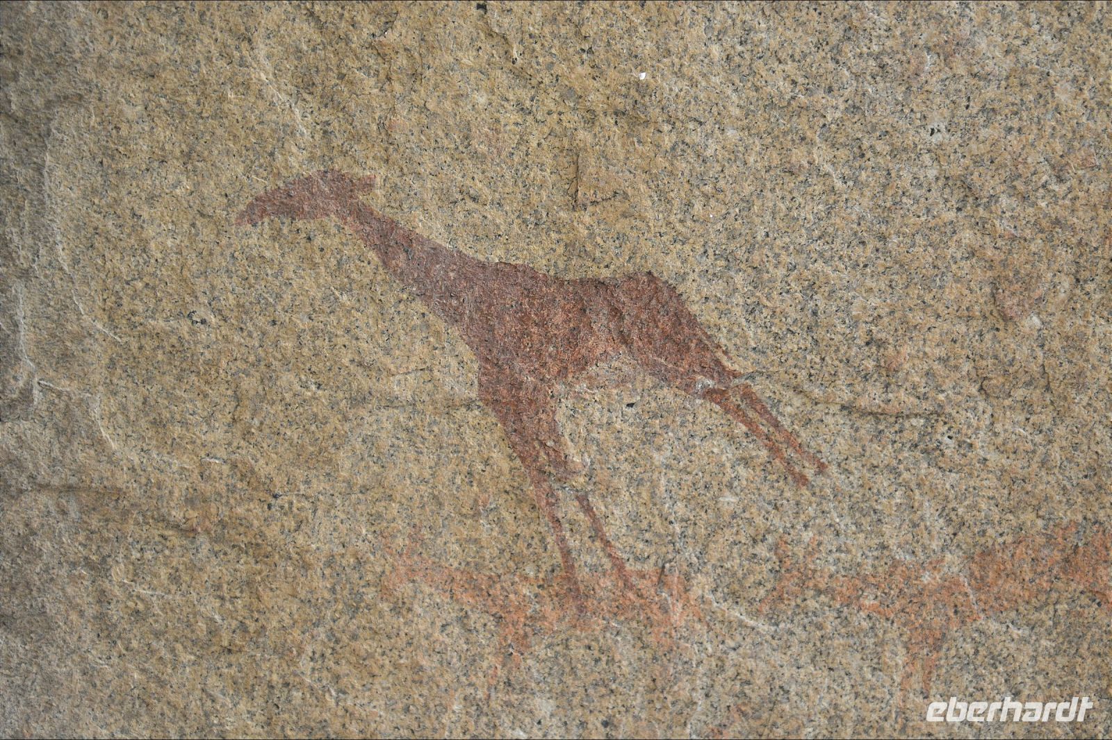Felsmalerei Giraffendarstellung (Ai Aiba Lodge) &ndash; &copy; Gina Egenolf (Eberhardt TRAVEL)