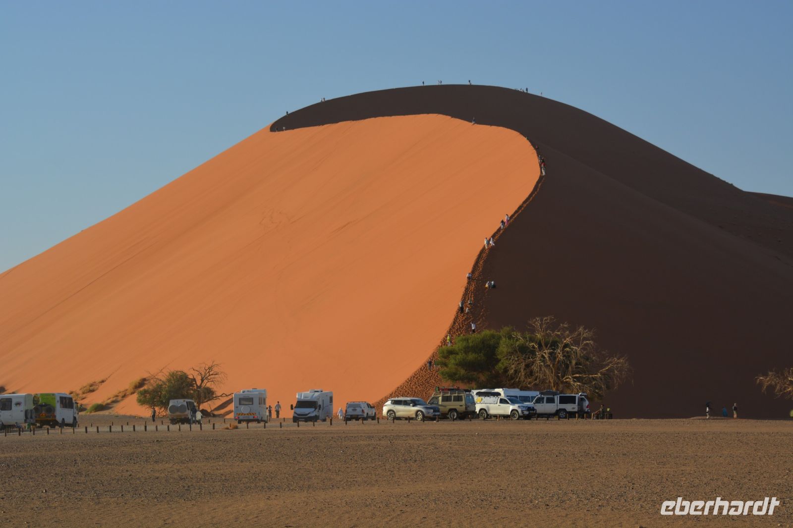 Düne 45 im Sossusvlei &ndash; &copy; Gina Egenolf (Eberhardt TRAVEL)