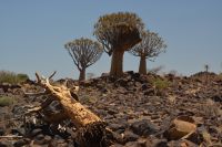 Dreierbande &ndash; &copy; Gina Egenolf (Eberhardt TRAVEL)