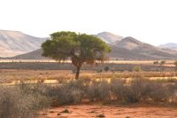 hier hatten wir die 2. Reifenpanne &ndash; &copy; Gina Egenolf (Eberhardt TRAVEL)