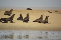 noch mehr davon &ndash; &copy; Gina Egenolf (Eberhardt TRAVEL)
