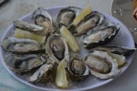 Austern gefällig? &ndash; &copy; Gina Egenolf (Eberhardt TRAVEL)