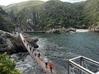 Tsitsikamma Nationalpark &ndash; &copy; Anne Fohlert (Eberhardt TRAVEL)