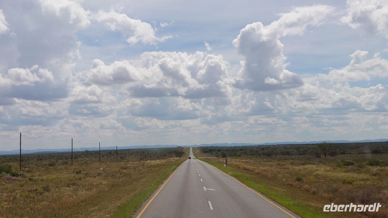 33 Rushhour in Namibia &ndash; &copy; Burkhard Herpich (Eberhardt TRAVEL)