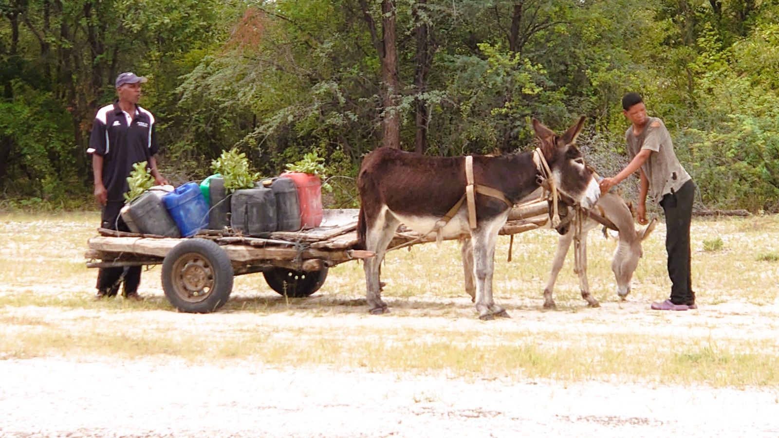 95 Donkey Car &ndash; &copy; Burkhard Herpich (Eberhardt TRAVEL)